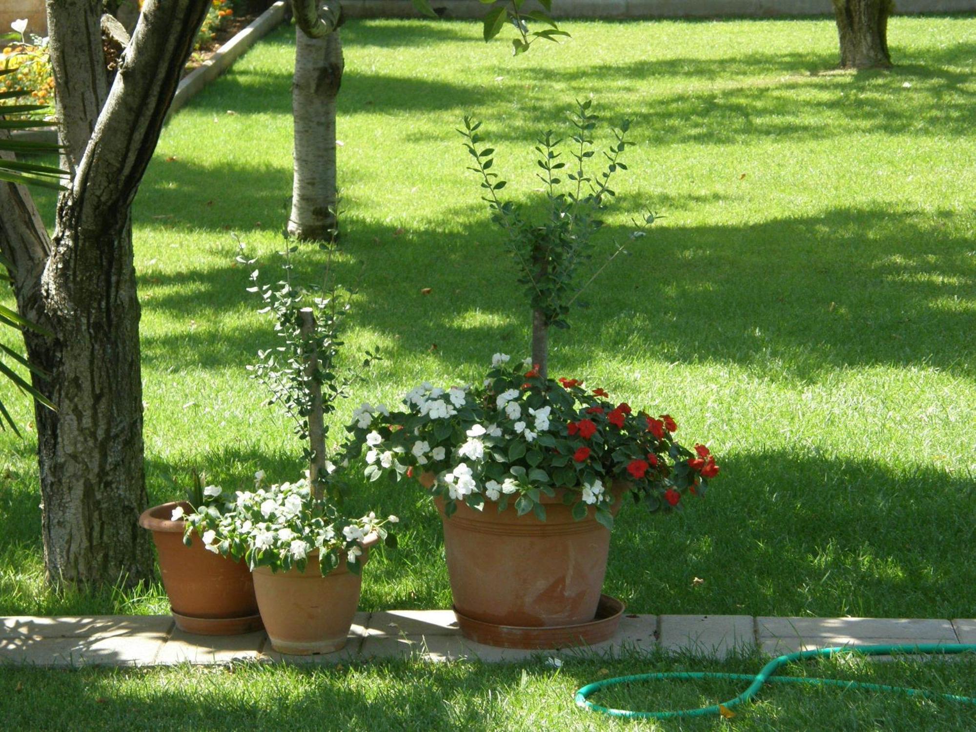 Villa Slavica 1 Vodice Exteriör bild
