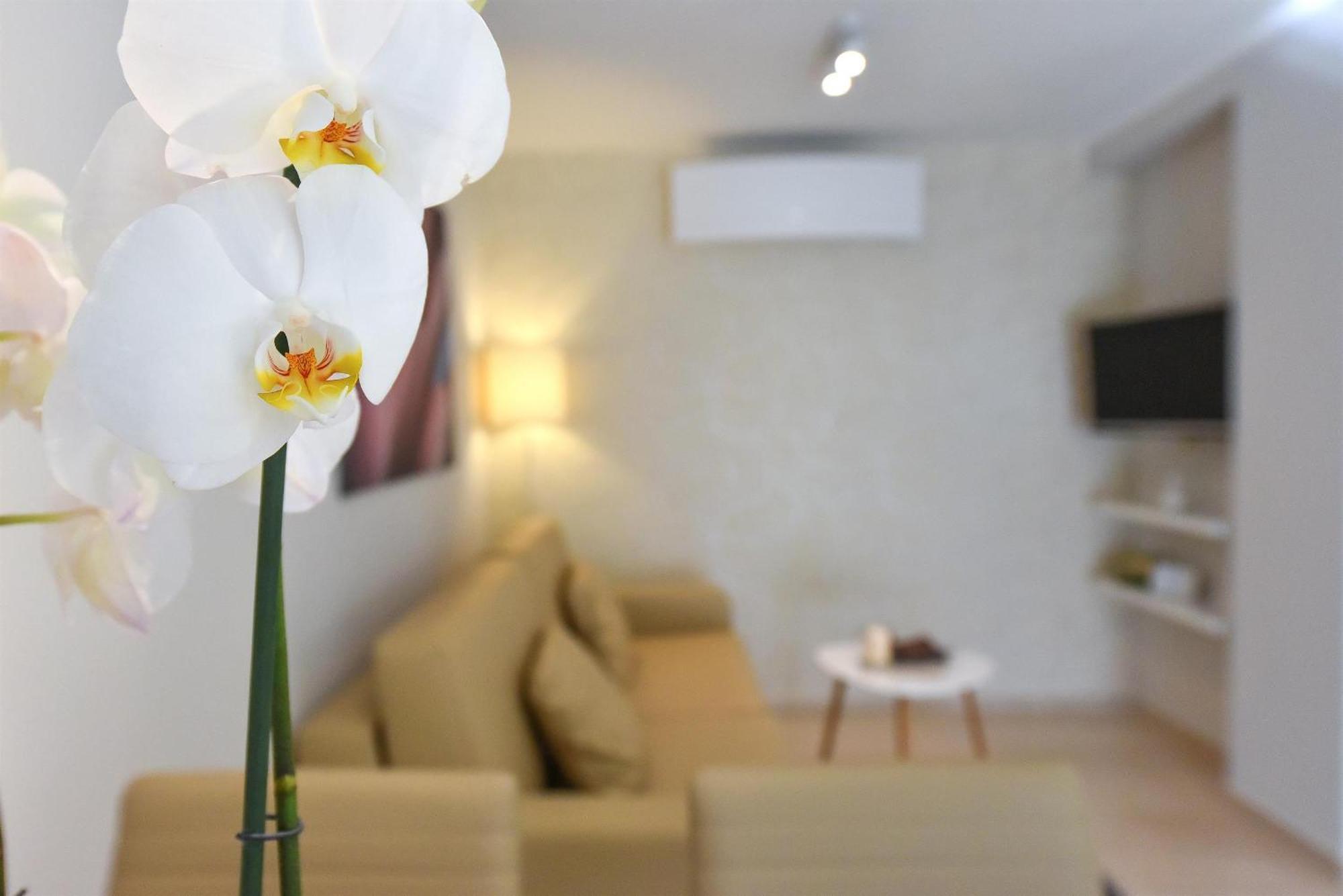 Villa Slavica 1 Vodice Rum bild